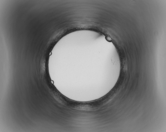 X0000115080685200911241142