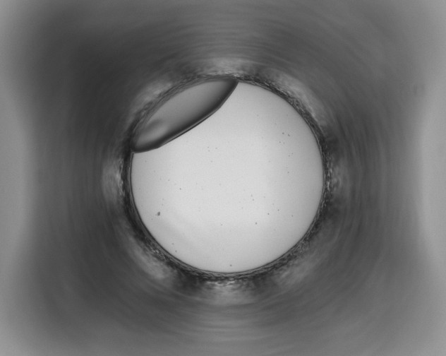 X0000115080688200911241142
