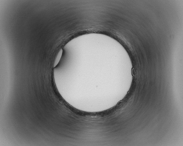 X0000115080689200911241142