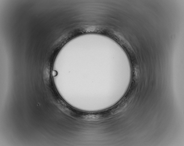 X0000115080691200911241142