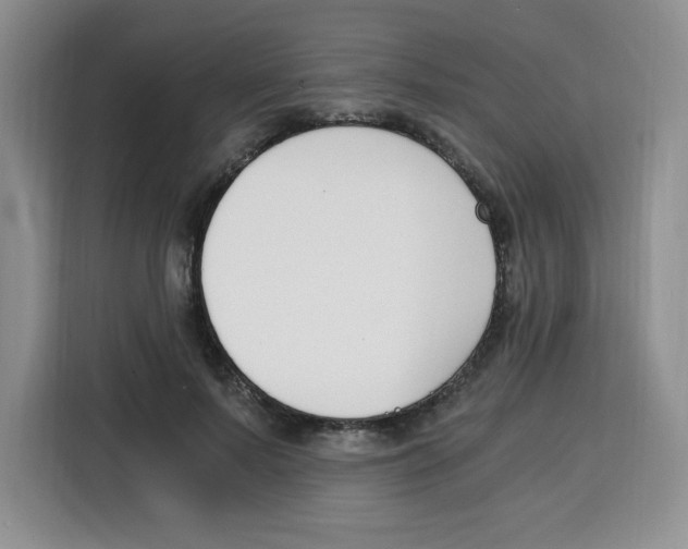 X0000115080695200911241142