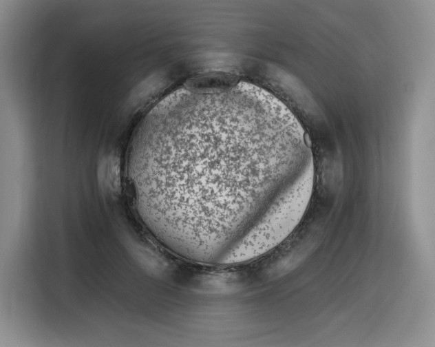 X0000115080696200911241142