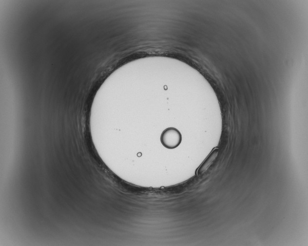 X0000115080697200911241142