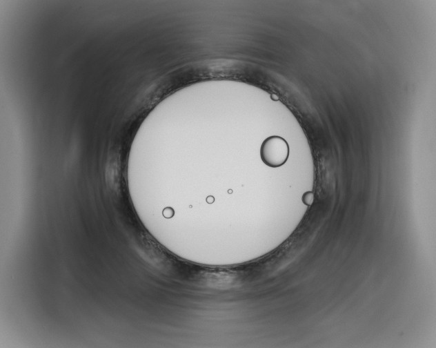 X0000115080698200911241142