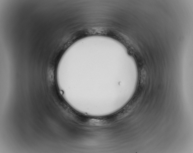 X0000115080699200911241142
