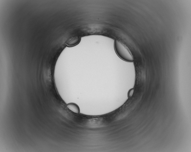 X0000115080700200911241142