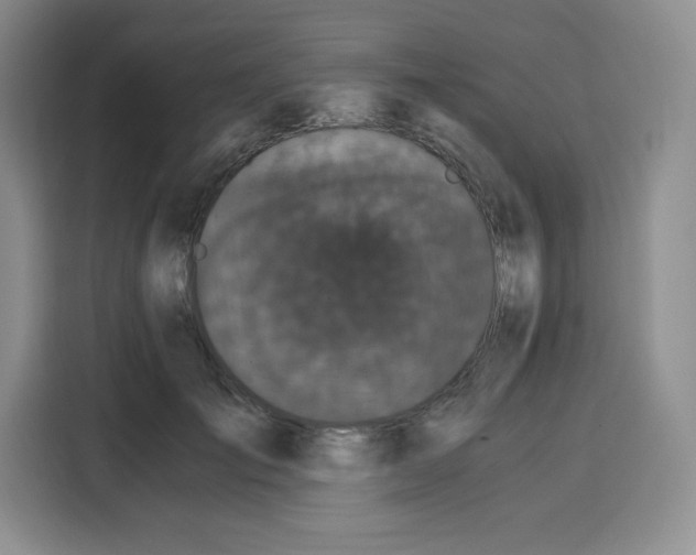 X0000115080701200911241142