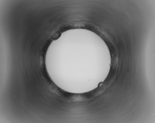 X0000115080704200911241142
