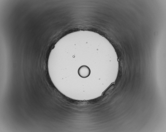 X0000115080705200911241142