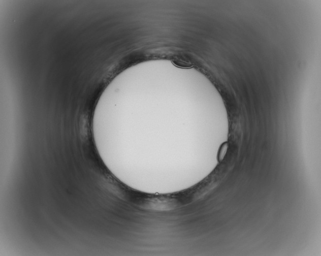 X0000115080708200911241142