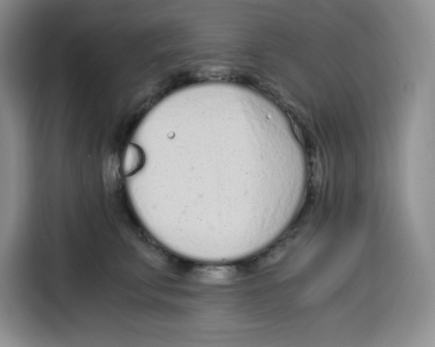 X0000115080711200911241142