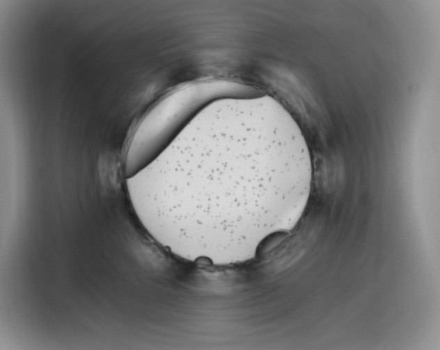X0000115080712200911241142