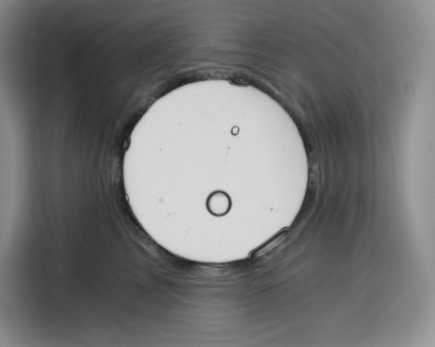 X0000115080713200911241142