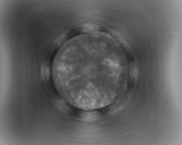 X0000115080716200911241142
