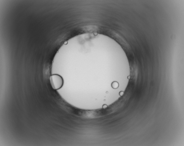 X0000115080717200911241142