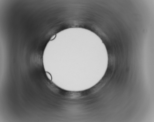 X0000115080719200911241142