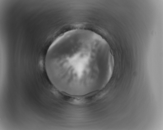 X0000115080720200911241142
