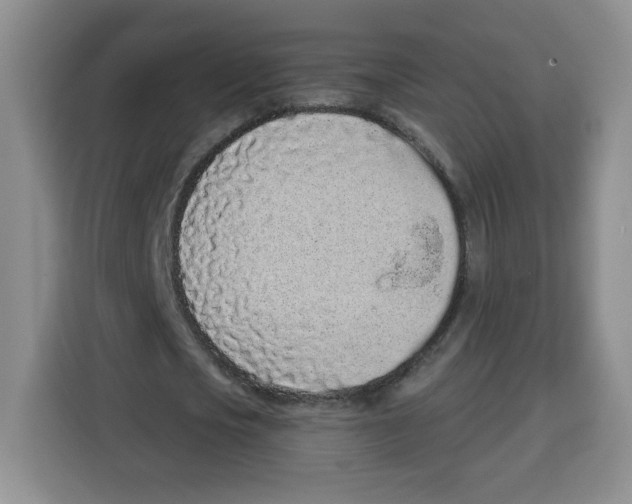 X0000115080721200911241141