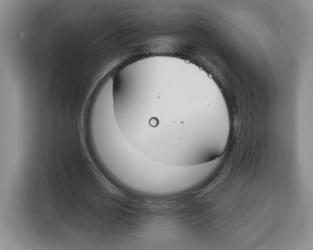 X0000115080725200911241141