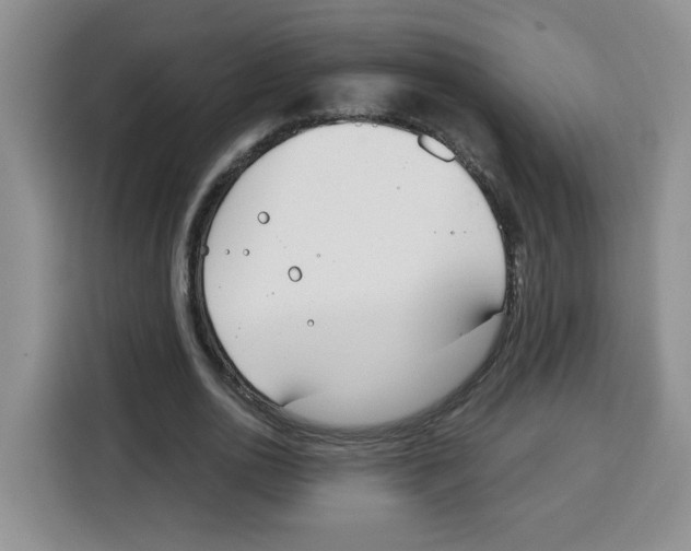 X0000115080726200911241141