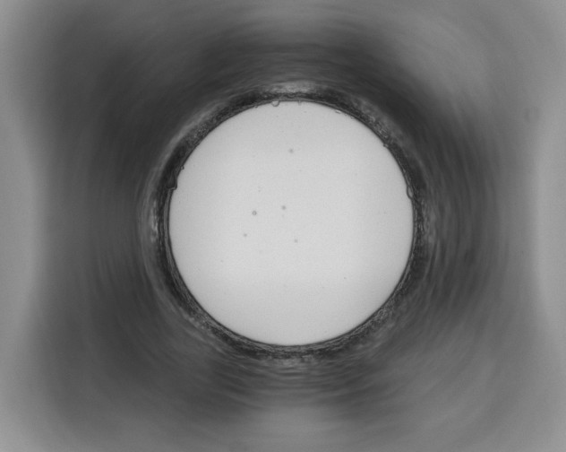 X0000115080731200911241141