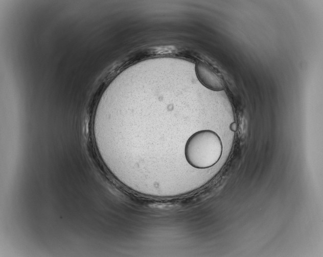 X0000115080733200911241141
