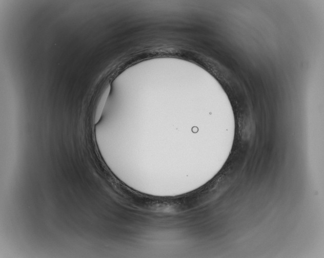 X0000115080735200911241141
