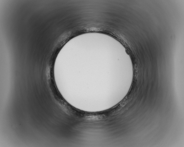 X0000115080738200911241141