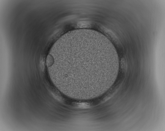 X0000115080741200911241142