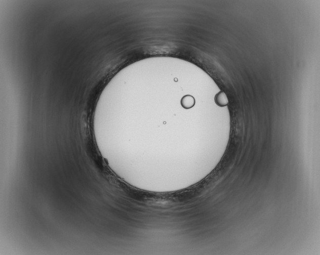 X0000115080743200911241142