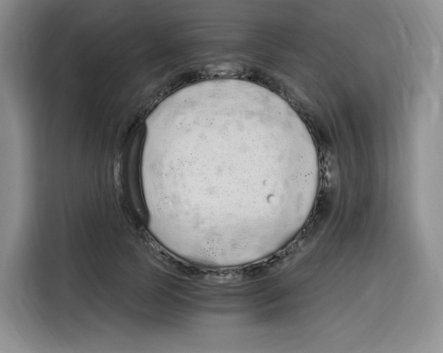 X0000115080745200911241142