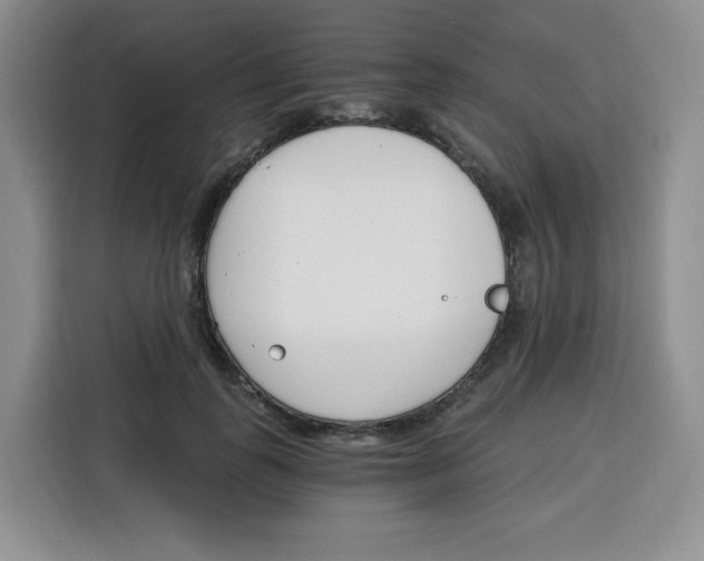 X0000115080747200911241142