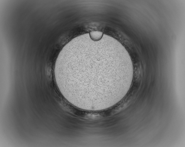 X0000115080749200911241142
