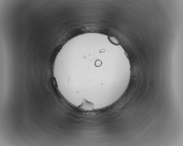 X0000115080751200911241142