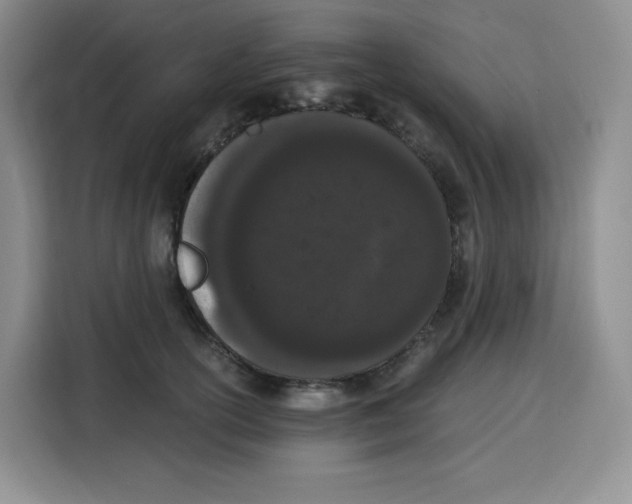 X0000115080754200911241142