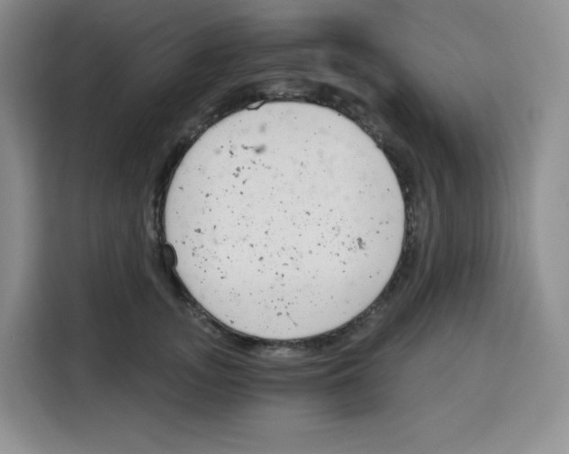 X0000115080755200911241142