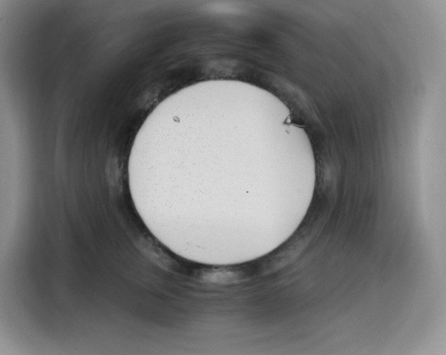 X0000115080759200911241142