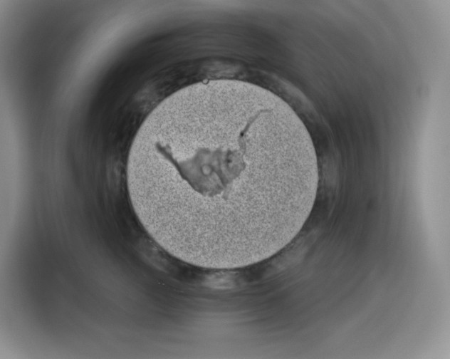 X0000115080761200911241142