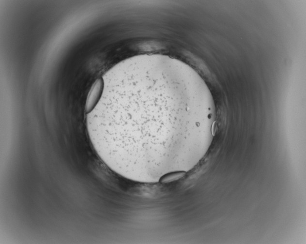 X0000115080762200911241142