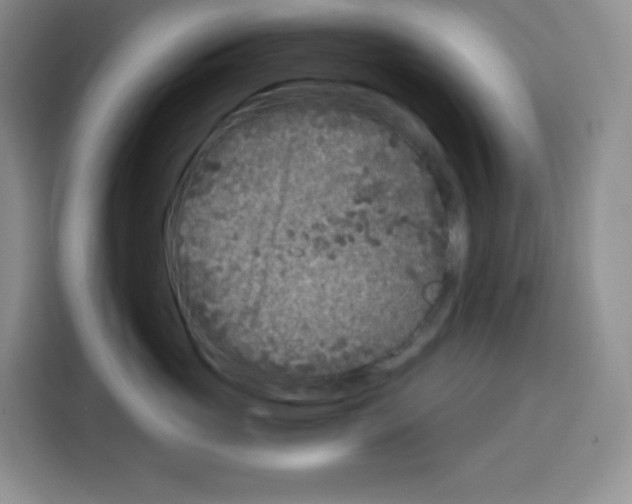 X0000115080765200911241142