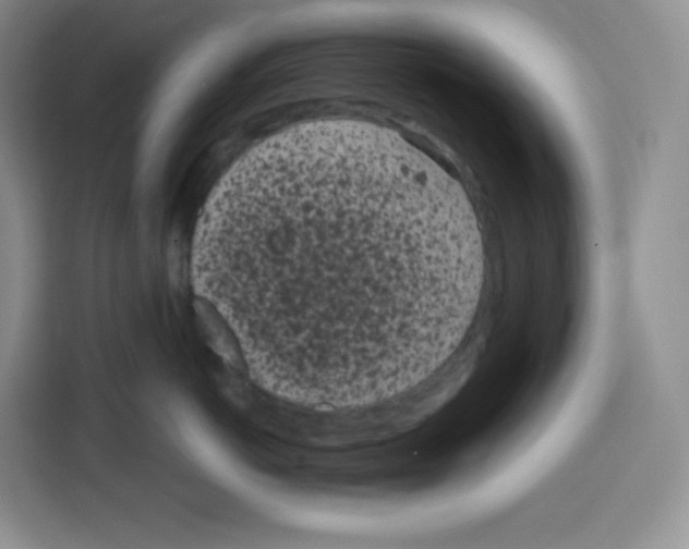 X0000115080766200911241142