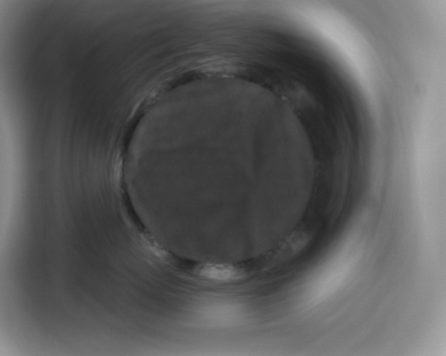 X0000115080767200911241142