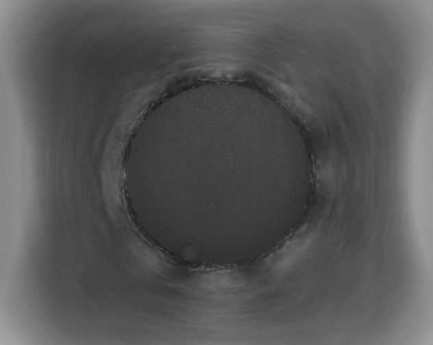 X0000115080769200911241141