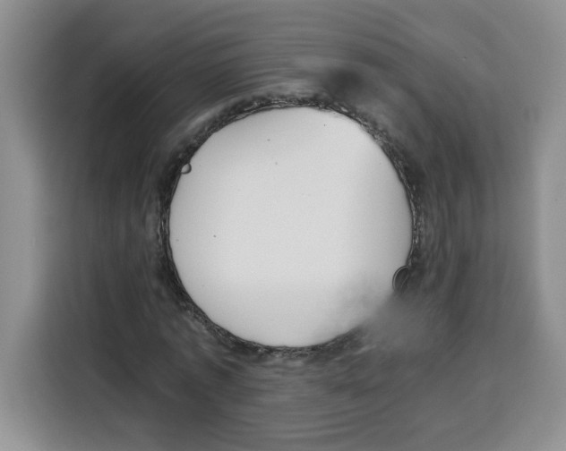 X0000115080773200911241141