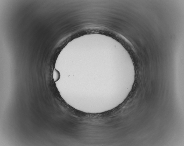 X0000115080775200911241141