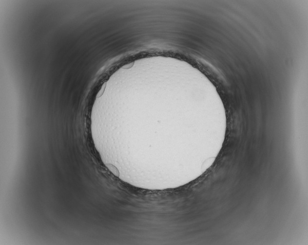 X0000115080776200911241141