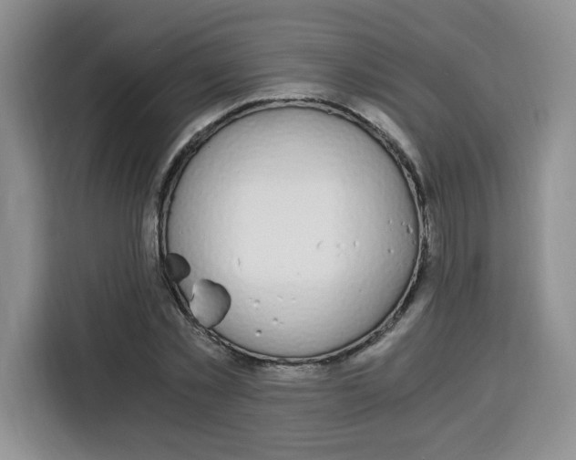 X0000115080781200911241141