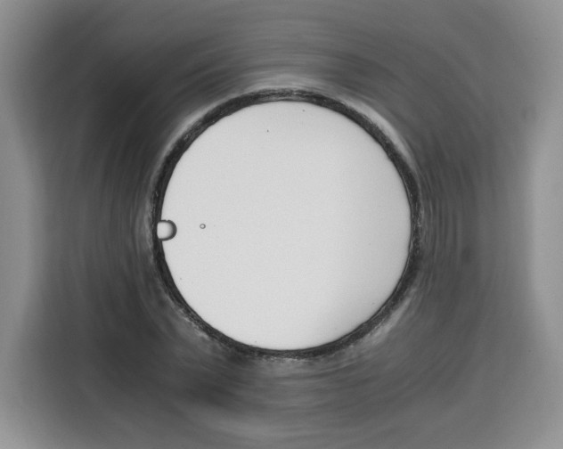 X0000115080783200911241141