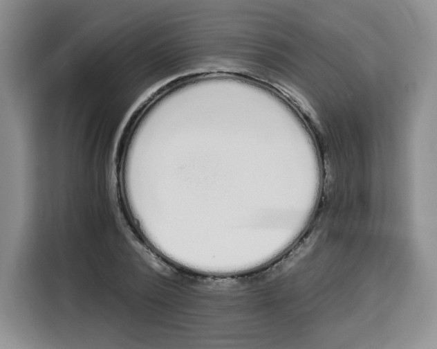 X0000115080784200911241141