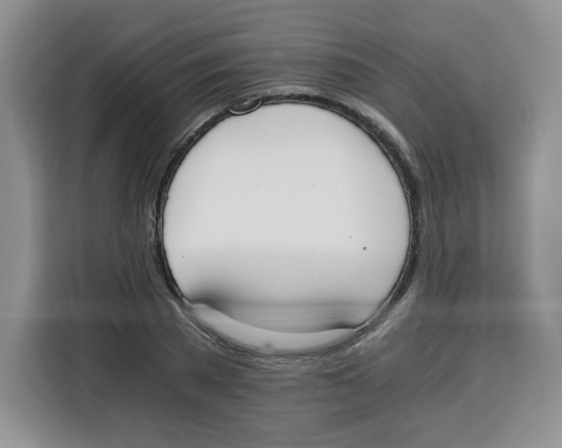 X0000115080785200911241141